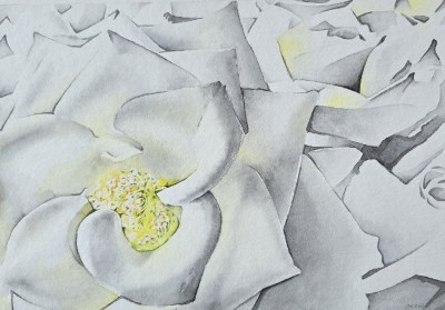 Aquarellbild mehrere Rosen in hellen Grün und Weisstönen